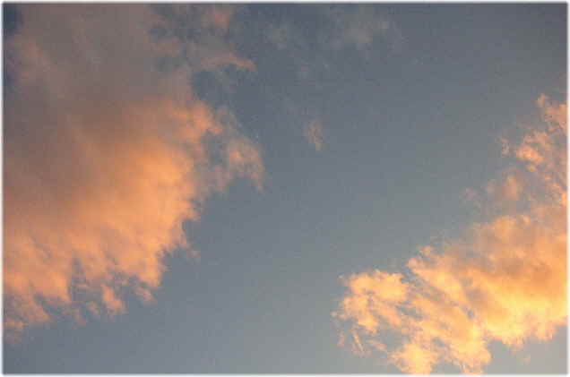 a0021871_1352548.jpg