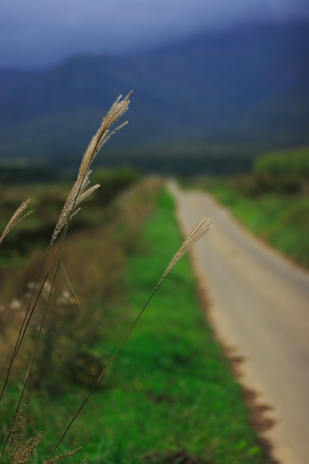 c0030874_6593279.jpg