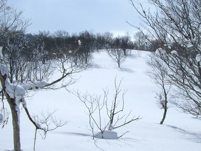 a0043193_17372187.jpg