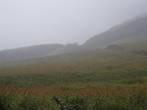 c0035297_9315831.jpg
