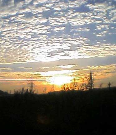 e0018604_9155072.jpg