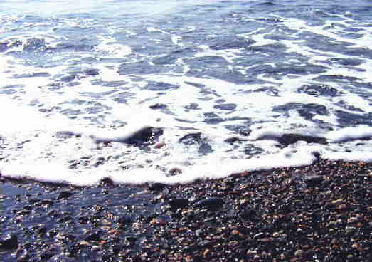d0006718_21104455.jpg