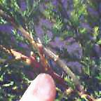 c0050522_19243296.jpg