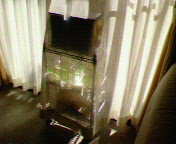 d0048332_935532.jpg