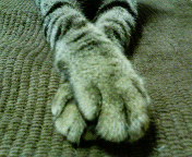c0025840_1634090.jpg