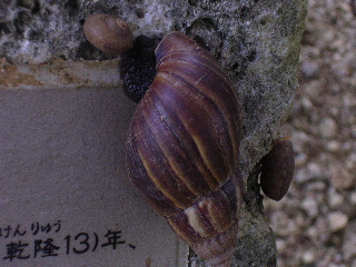 c0065643_062795.jpg
