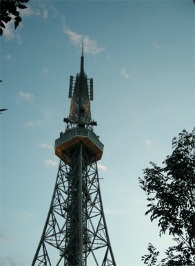 c0069552_1195478.jpg