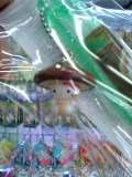 b0033954_13481678.jpg