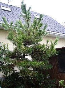 e0048357_20443068.jpg