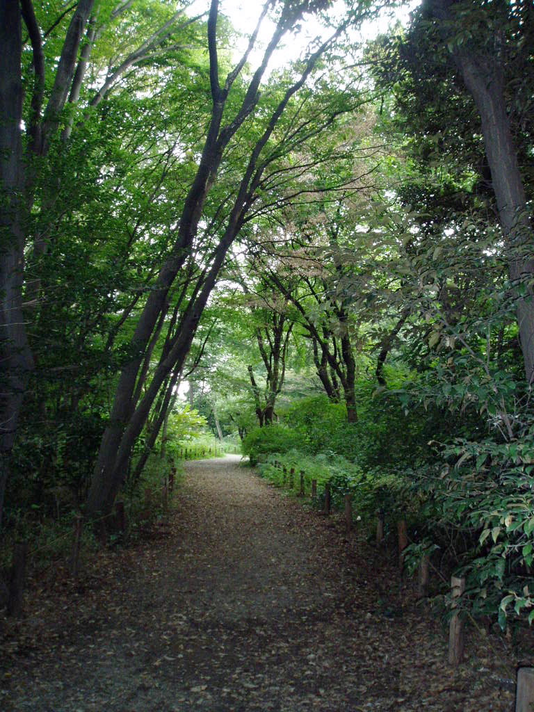 e0064158_0371513.jpg
