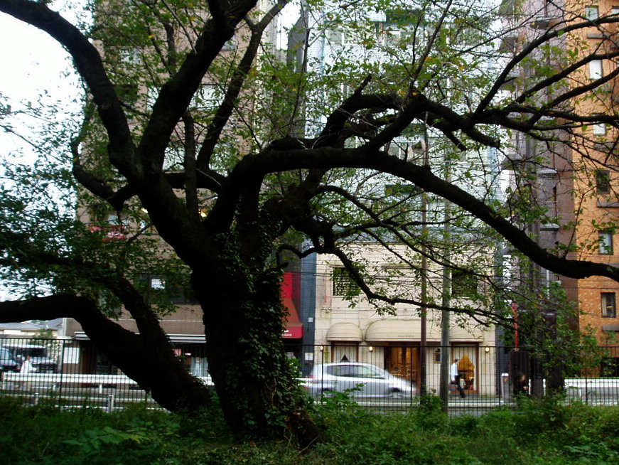 e0064158_0384230.jpg