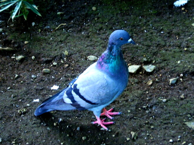 e0064158_038479.jpg
