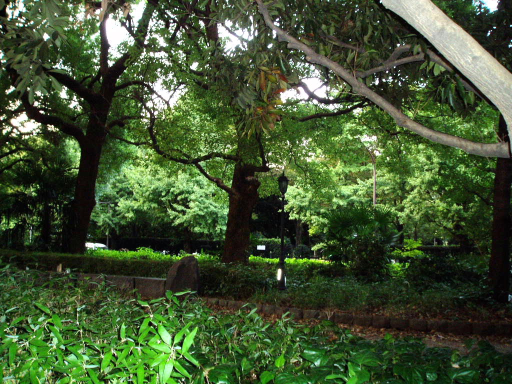 e0064158_04403.jpg