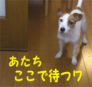 b0065067_036269.jpg