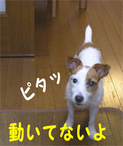 b0065067_0362711.jpg