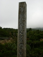 c0046869_15487.jpg