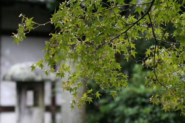 b0055171_22225176.jpg