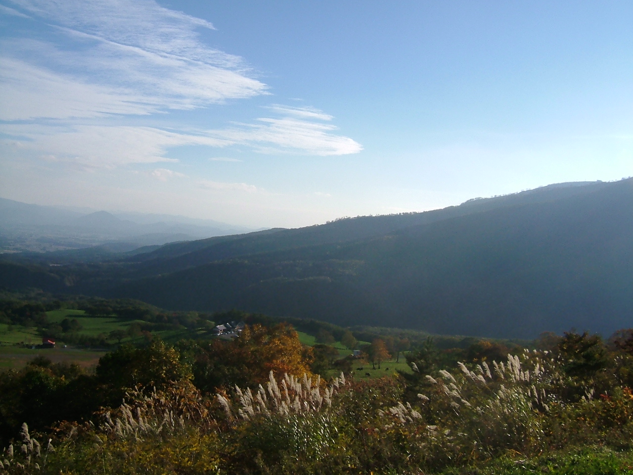 e0059372_2119333.jpg