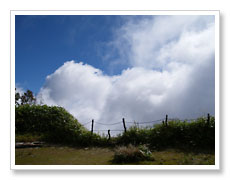 c0027383_04245.jpg