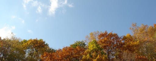 c0038983_2133066.jpg