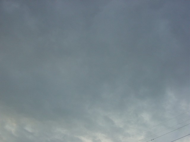 c0070086_15333217.jpg