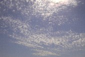 e0025190_17235544.jpg