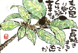 a0030594_0294160.jpg