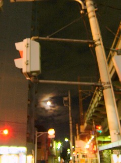 a0034419_12531880.jpg