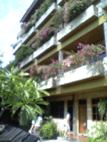 d0038319_1204926.gif