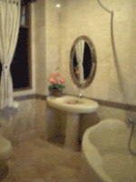 d0038319_1215113.gif
