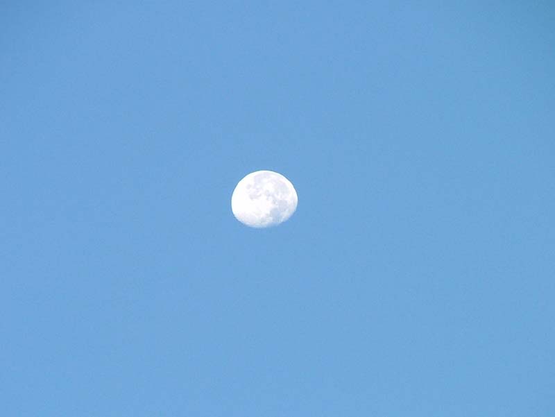 c0045227_2363477.jpg