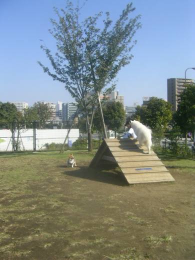 e0006428_835080.jpg