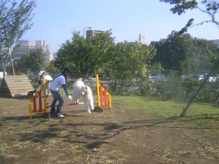 e0006428_84515.jpg