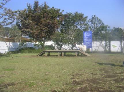 e0006428_8647.jpg