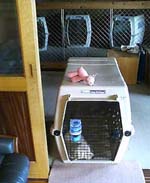 e0065928_13194322.jpg