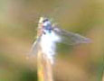 c0071834_2204377.jpg