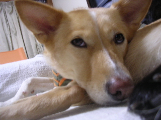 c0065643_146788.jpg