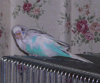 c0054148_2384657.jpg