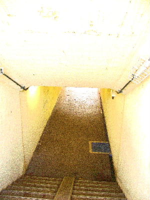 b0015260_10132940.jpg