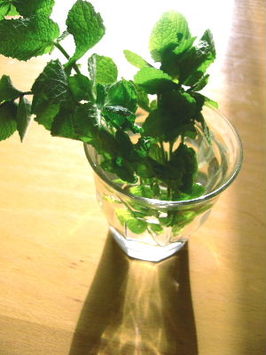 b0015260_10325589.jpg