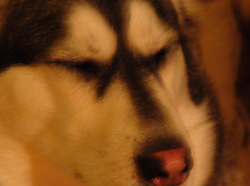 c0028664_2250733.jpg