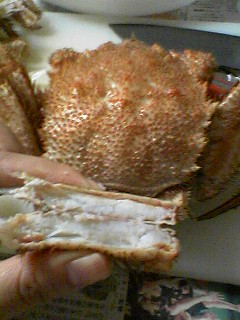 c0015874_2323011.jpg