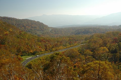e0064576_2294044.jpg