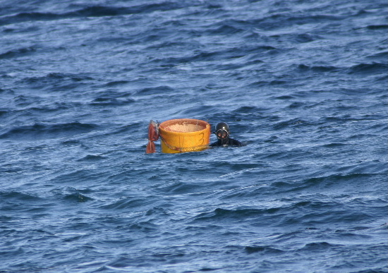 e0018678_22352566.jpg