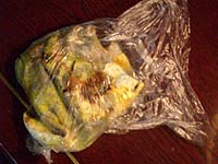 b0036595_1551056.jpg
