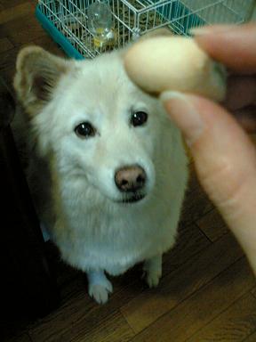 c0021898_13565969.jpg