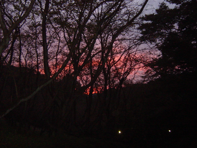 e0028401_2129573.jpg