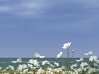 c0041039_8142634.jpg