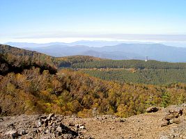 d0059441_19143570.jpg