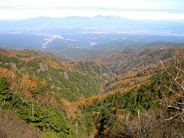 d0059441_19271212.jpg